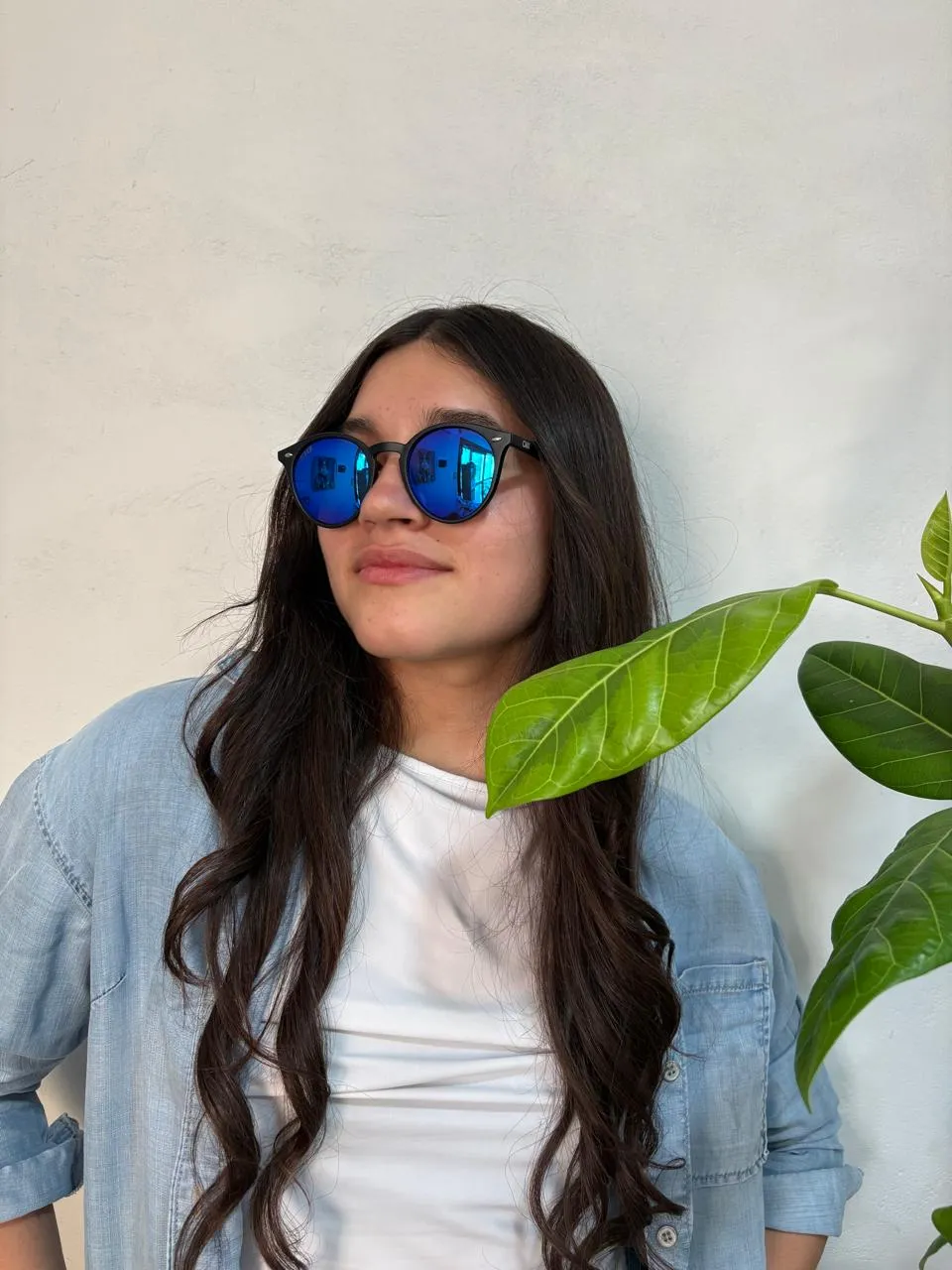 Lente de sol modelo 7